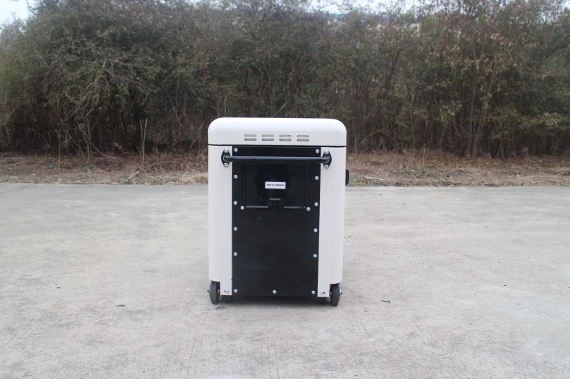 tri fuel generator 1 tri fuel generator 1